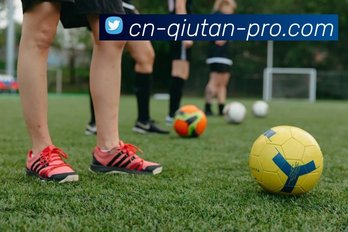 球探体育平台生态图